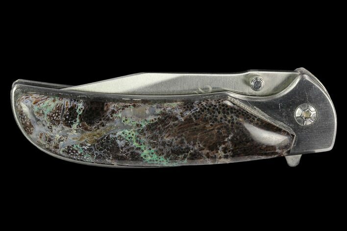 Folding Knife With Utah Petrified Palmwood Inlays #127597